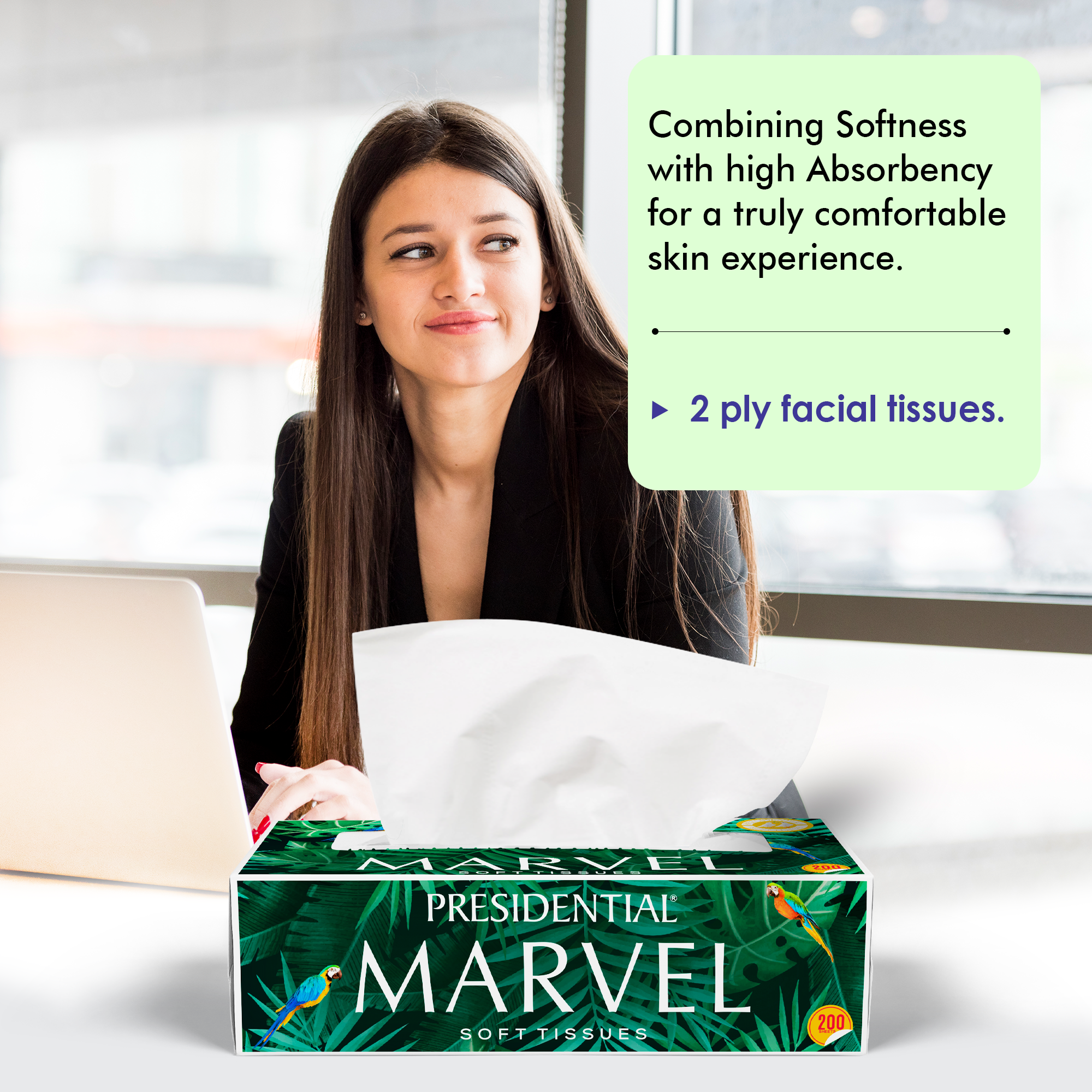 Presidential highly absorbent tissue box with soft tissues for comfortable skin use in a modern setting